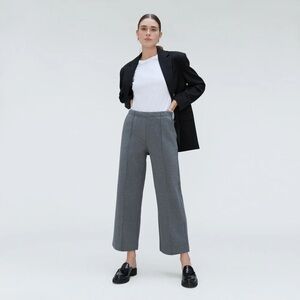 NWT Everlane Wide Leg Dream Pants